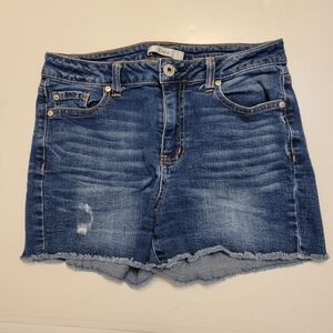 Dex distressed denim shorts